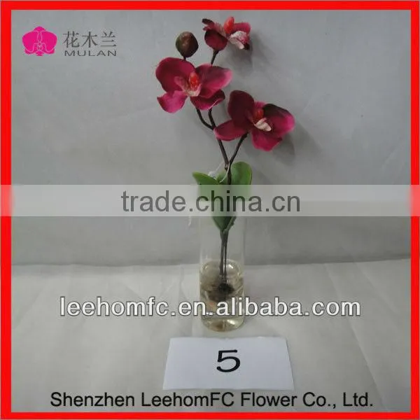 Artificial Orchid Leaves with Root