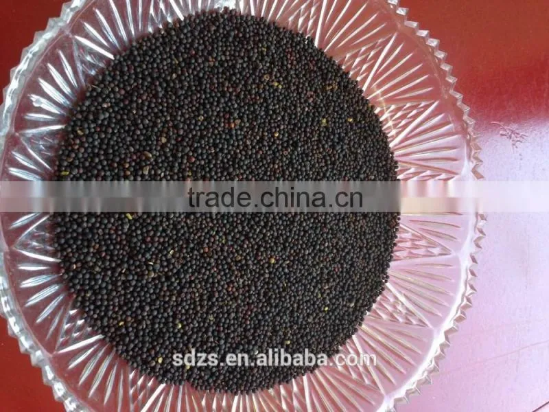 oilseeds rape