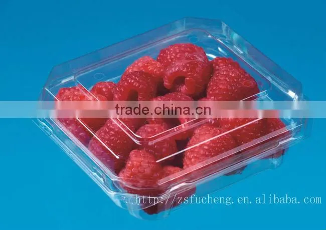 PET Fruit Container, Small Salad Container