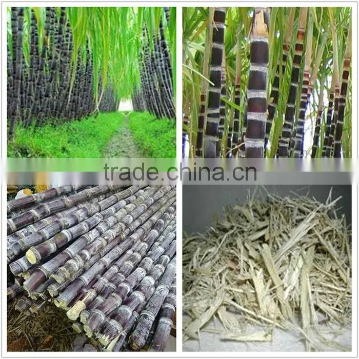 raw paper roll for making paper cups paper lunch box