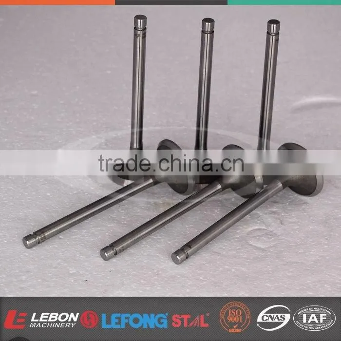 Yuchai 6 Cylinder Engine VALVE IN