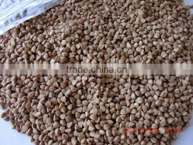 Chinese non gmo new crop Roasted Buckwheat Kernel for georgia wholesale