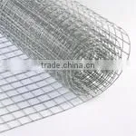 Galvanized Welded Wire Mesh
