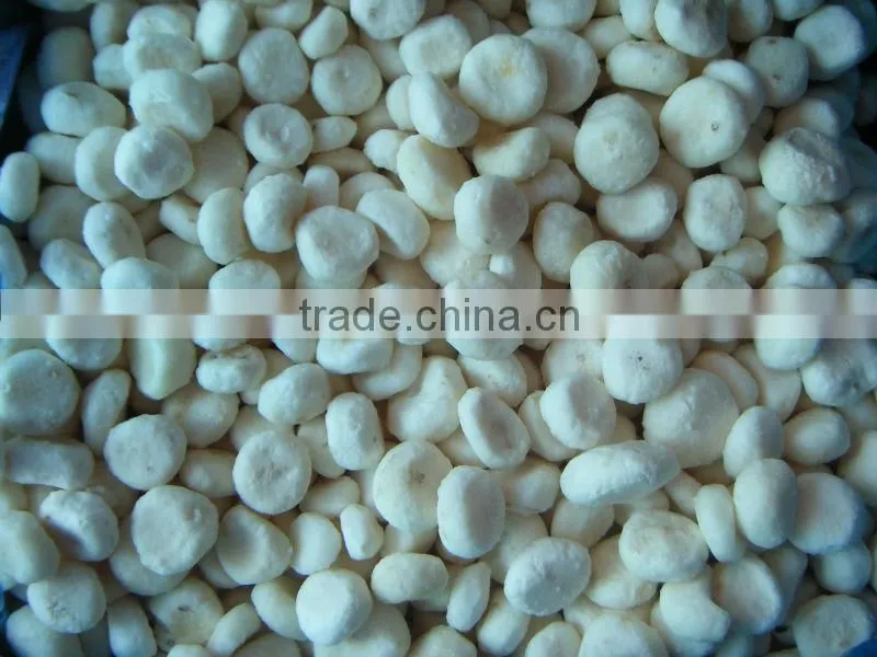 HIGH QUALITY new crop frozen water chestnuts