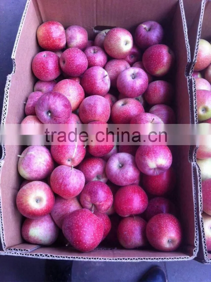 shanxi qinguan Apple