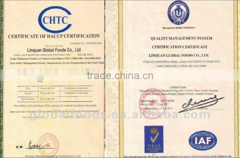 Garlic Powder Global Foods