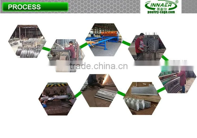 China wholesale Animal Cages for chicken with the feeding system