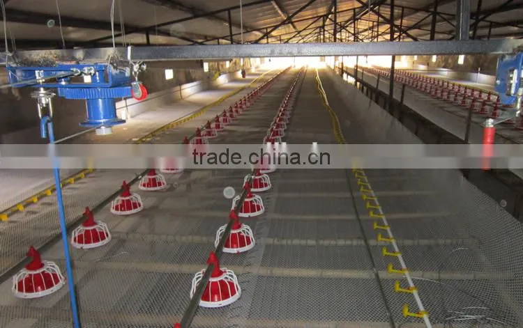poultry automatic feeding system