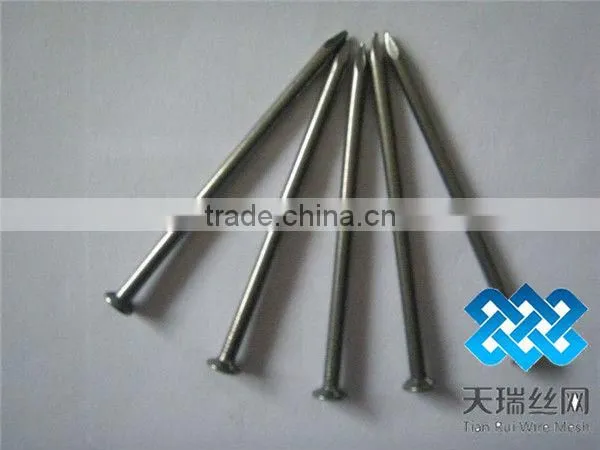 Nail/wire nail/common nails