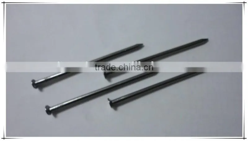 High quality wire nails factory, common wire nails price, steel wire nails manufacture in china