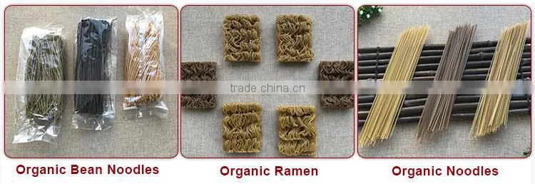 Europe Quality Organic Soybean Pasta Noodles