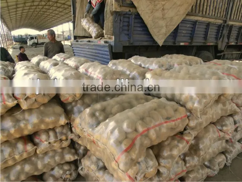 China 20 kg pp woven bag ,bag manufacture