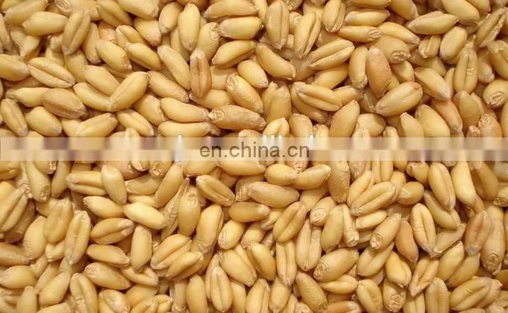 Automatic high efficiency seed cleaning machine/grain air-screen cleaner/sunflower seeds cleaning machine