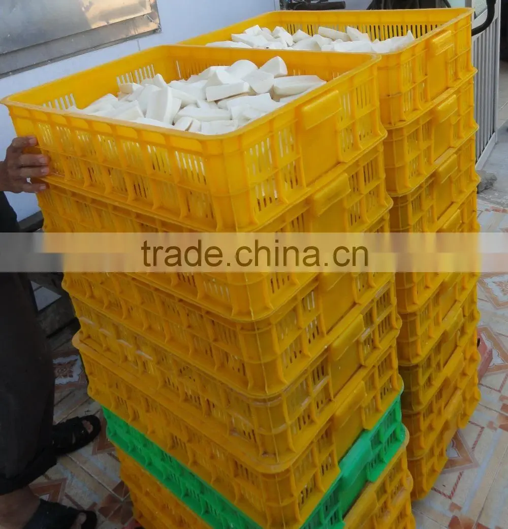 Fresh Cassava Tapioca from Vietnam
