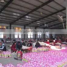 Jining Rich Farmer International Trade Co., Ltd. company overview - view 2