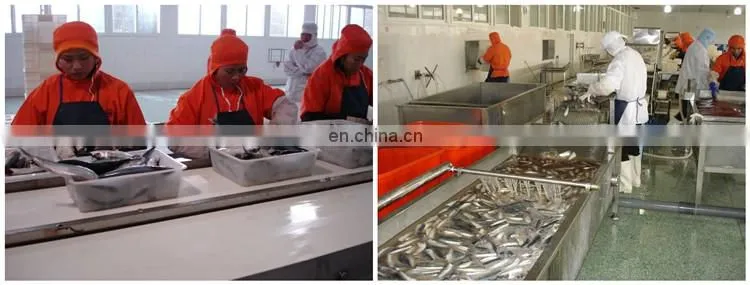 fully complete canned catfish production line