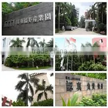 Guangdong PHOMI MCM Co., Ltd. company overview - view 1