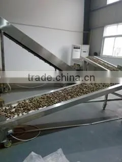 market prices for mushroom