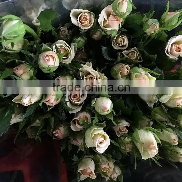 New OEM fresh rose flower