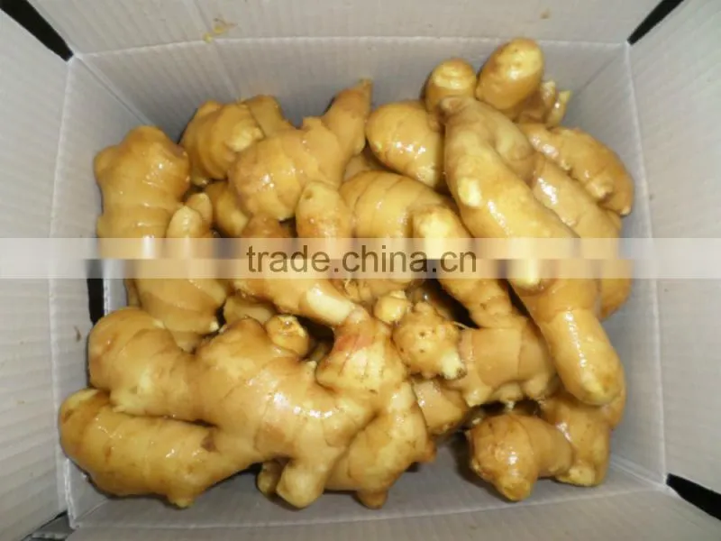 2015 new crop Shandong fresh ginger