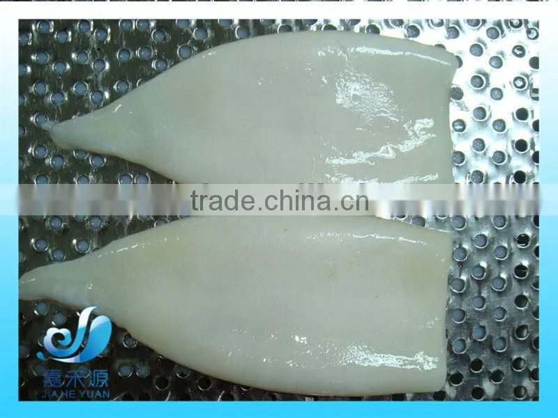 Frozen whole baby Squid