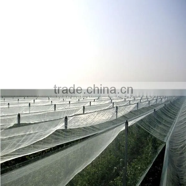 High strength anti hail mesh for agriculture