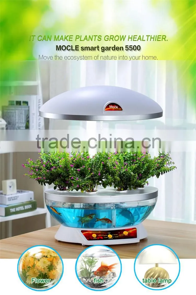 grow expand water toys