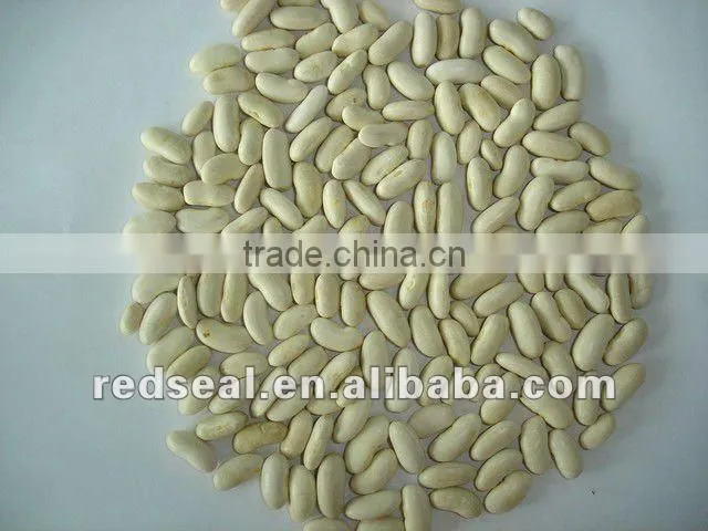 medium white kidney beans