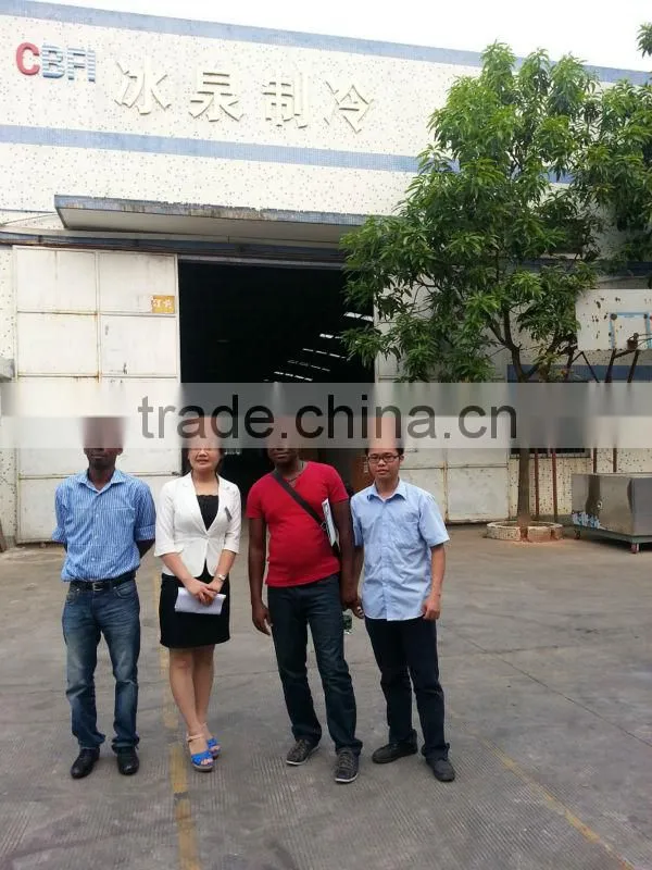 Cheap Block Ice Bagging Machine for Africa