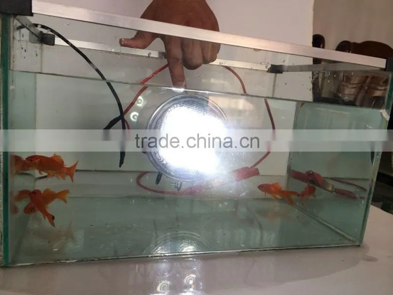 Rounded auto LED spot light