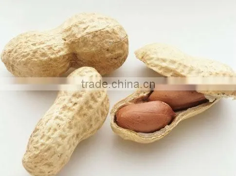Peanuts