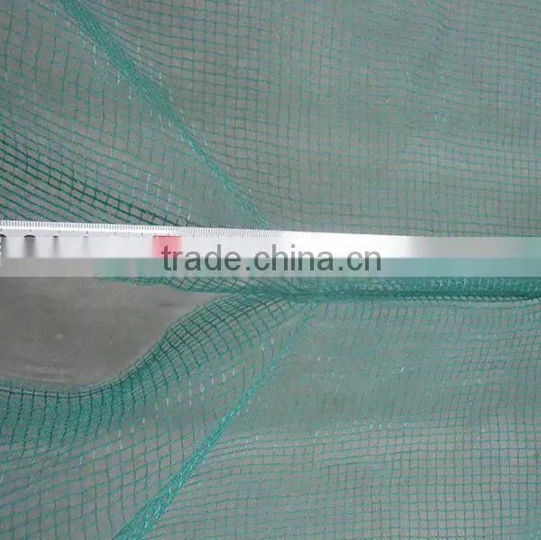 Green square structure net for olive harvest