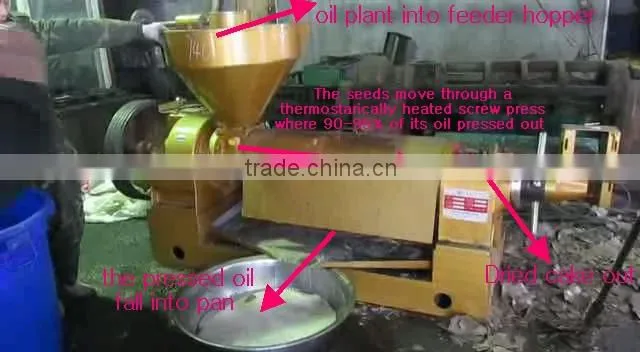 Higher oil output sesame oil press machine