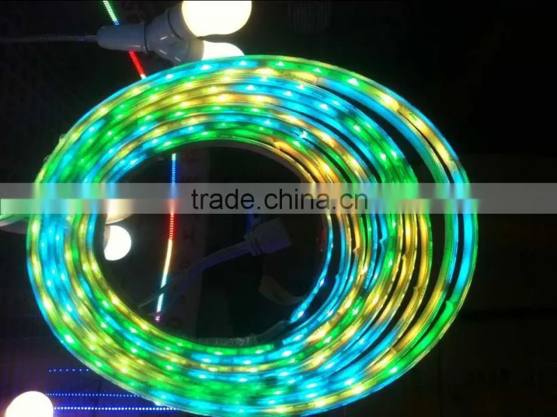 10M Good Cheap price 5630 / 5050 led strip rgb low voltage 12V non waterproof led flexible strip light