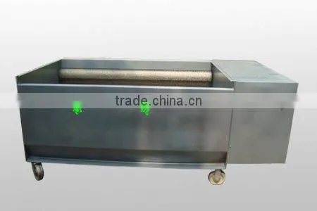 vegetable washing machine