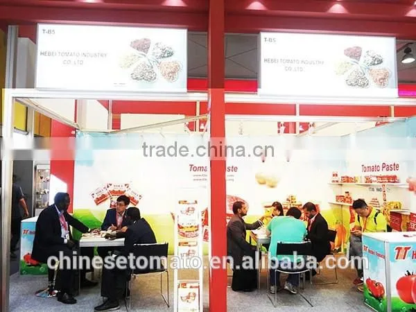 142g 170g 185g 1880g Canned Tuna Fish in Brine and in Oil with Low Price