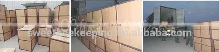 0.5t fully enclosed backflow honey thickener machine/honey filtering machine/honey processing machine