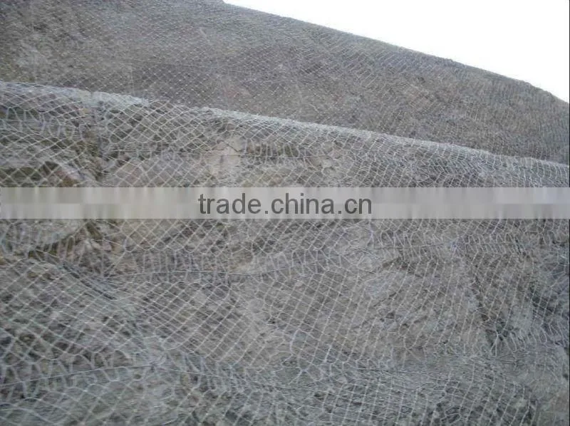 SNS protective slope mesh