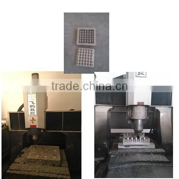Pulp Molding Molds for egg tray