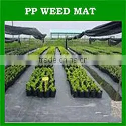 30%-90% shade factor agricultural plastic dark green shade net
