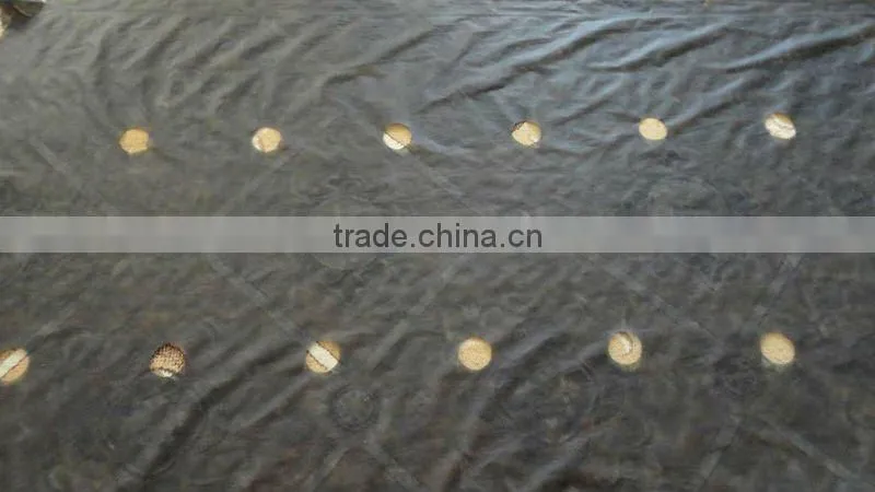 Super Wide 100% Polypropylene agriculture nonwoven fabric