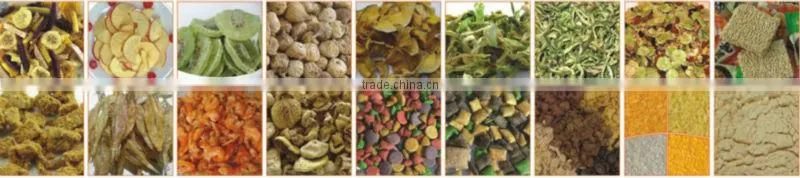 Automatic pet food / snack food electrical oven& convection oven/gas oven