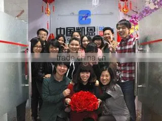Guangzhou Dione Crafts Co., Ltd. company overview - view 3