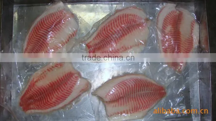 Frozen Tilapia Fillet From Zhejiang of China