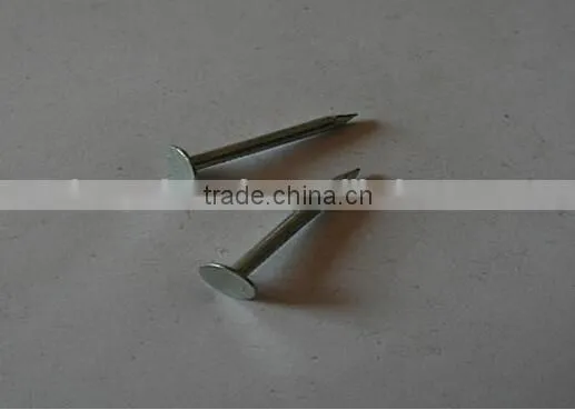 Tangshan hot selling cupper nails for sale