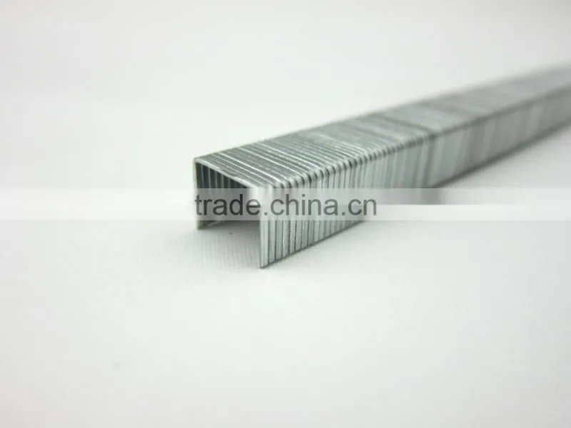 high quality staple for furniture