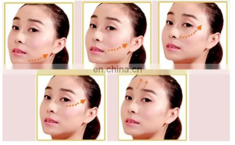 Professional Rechargeable EMS RF temperature control electroporation beauty salon equipment Japan beauty care tools