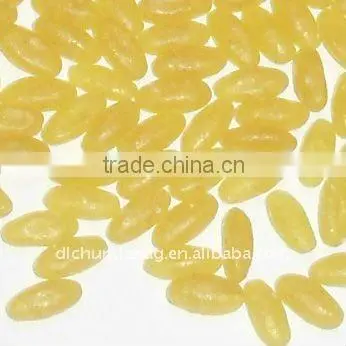 golden rice