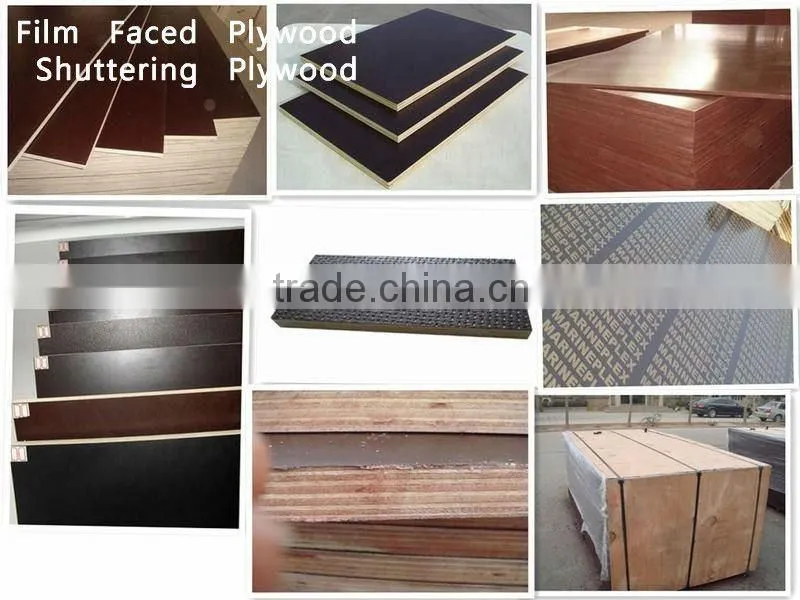 poplar plywood