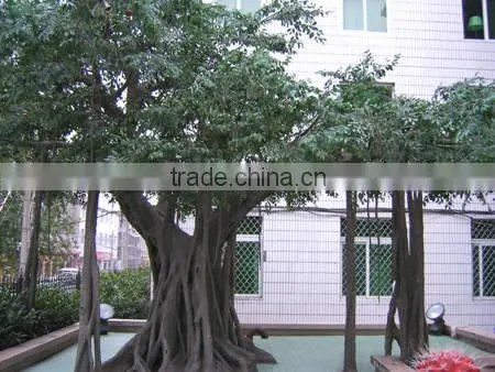 newest high quality best decorative artificial banyan tree,fake ficus tree on sale